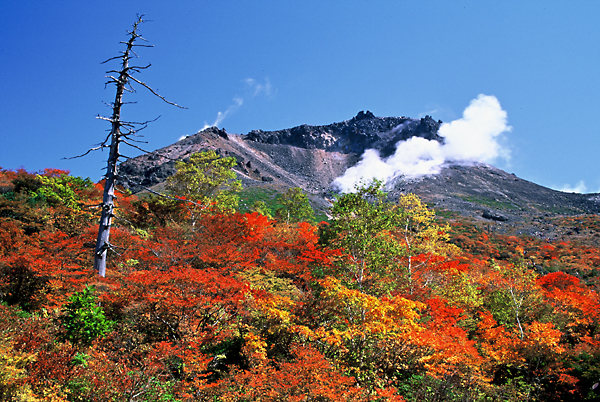 茶臼岳の紅葉／那須町観光協会