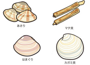 潮干狩り　貝の種類