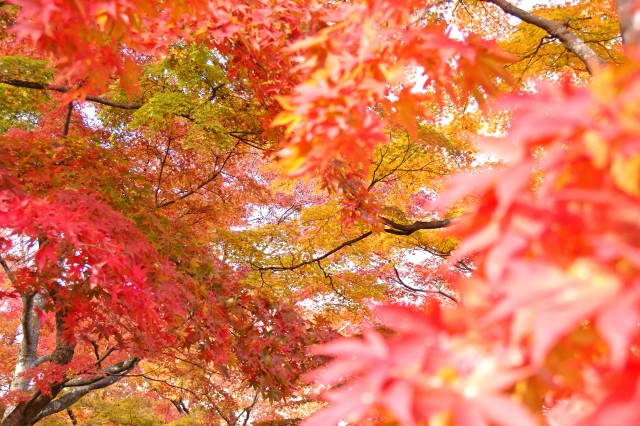 箱根美術館