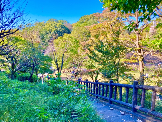 多摩動物公園