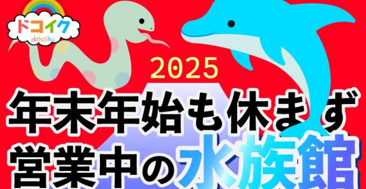 年末年始も営業中の水族館