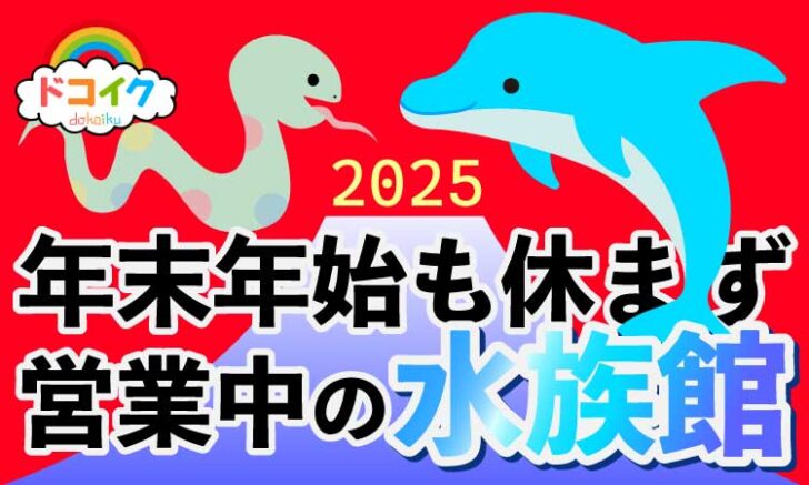 年末年始も営業中の水族館