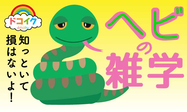 巳年特集】金運を呼ぶヘビの雑学と文化解説！2025年を幸運にする豆知識