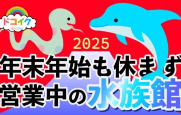 年末年始も営業中の水族館