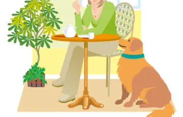 大型犬カフェ