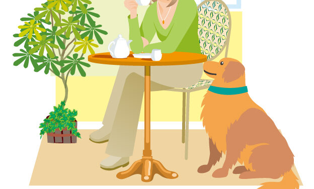 大型犬カフェ